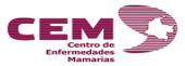 Imagen16